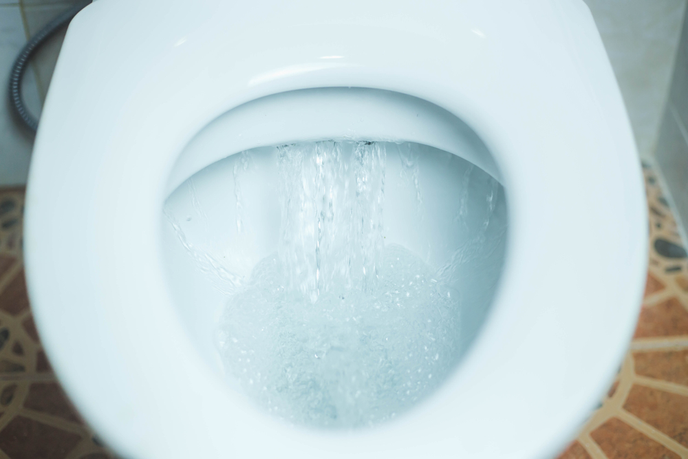comment changer le joint de chasse d'eau des toilettes(Tuto entier) 